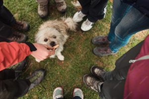 Capture d’écran 2026-03-16 à 02.10.14